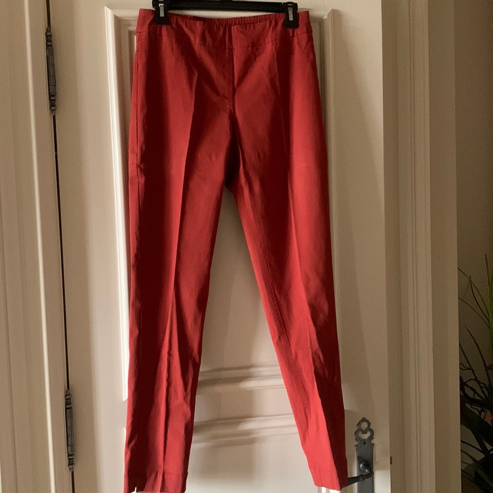 Slim Station burnt orange pull on ankle pants